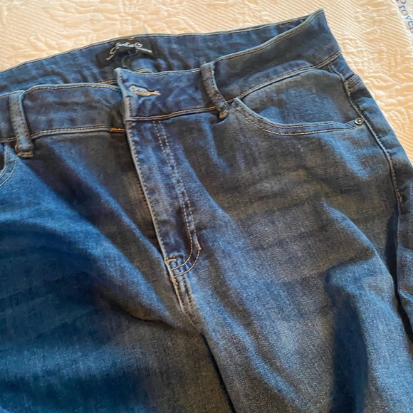 CHARLIE B Blue Jeans with Floral Embroidery - Picture 5 of 12